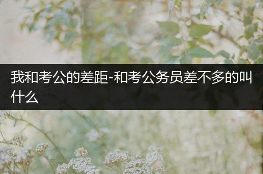 我和考公的差距-和考公务员差不多的叫什么