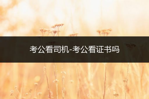 考公看司机-考公看证书吗