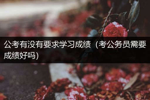 公考有没有要求学习成绩（考公务员需要成绩好吗）