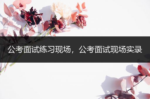公考面试练习现场，公考面试现场实录