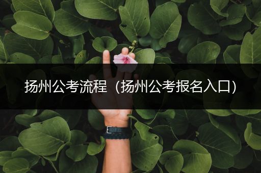 扬州公考流程（扬州公考报名入口）