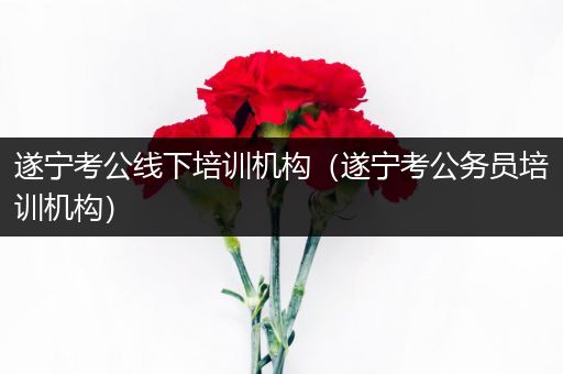 遂宁考公线下培训机构（遂宁考公务员培训机构）