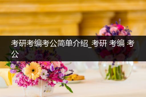 考研考编考公简单介绍_考研 考编 考公