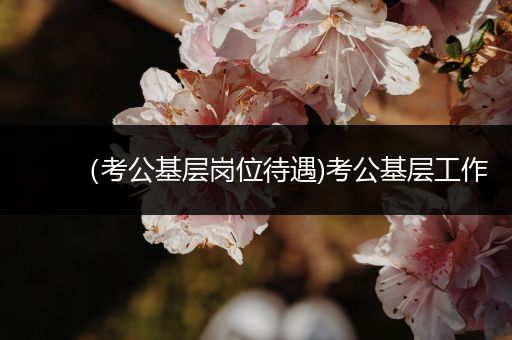 （考公基层岗位待遇)考公基层工作