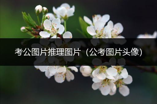 考公图片推理图片（公考图片头像）