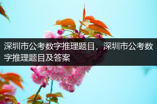 深圳市公考数字推理题目，深圳市公考数字推理题目及答案