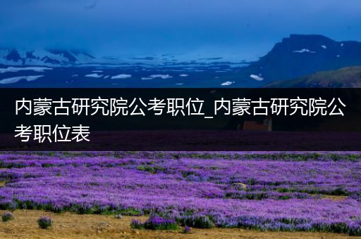 内蒙古研究院公考职位_内蒙古研究院公考职位表
