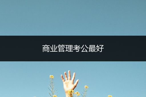 商业管理考公最好