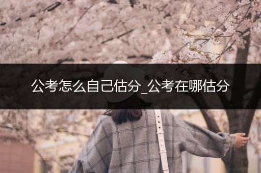 公考怎么自己估分_公考在哪估分
