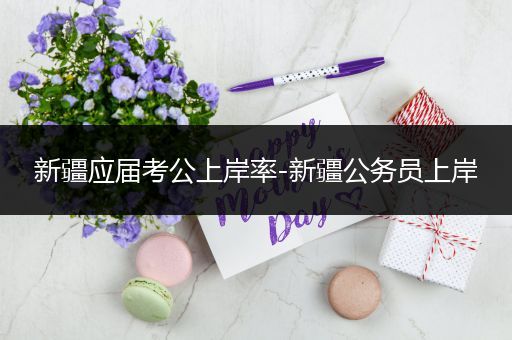 新疆应届考公上岸率-新疆公务员上岸