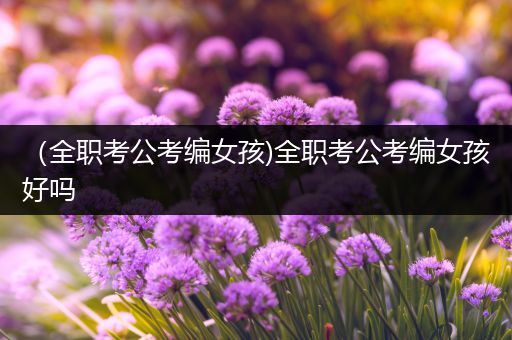 （全职考公考编女孩)全职考公考编女孩好吗