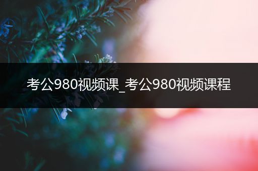 考公980视频课_考公980视频课程