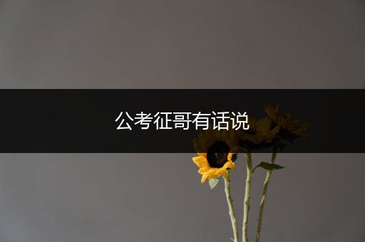 公考征哥有话说