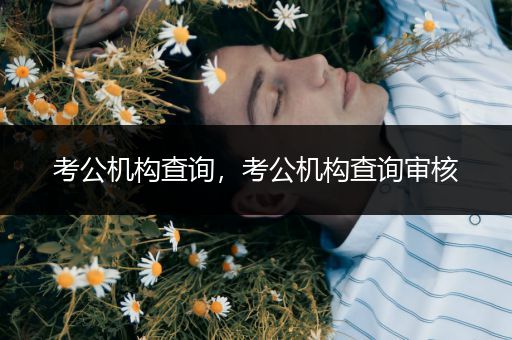 考公机构查询，考公机构查询审核