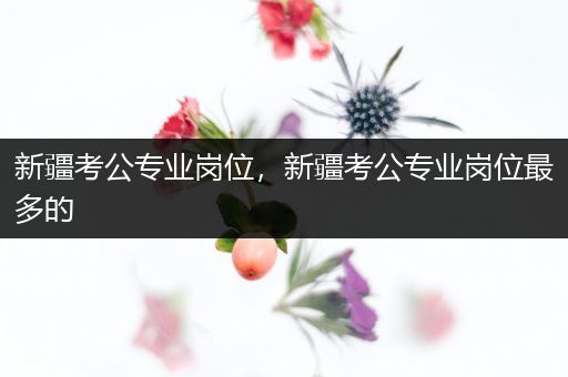 新疆考公专业岗位，新疆考公专业岗位最多的