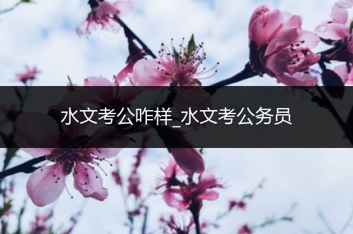 水文考公咋样_水文考公务员