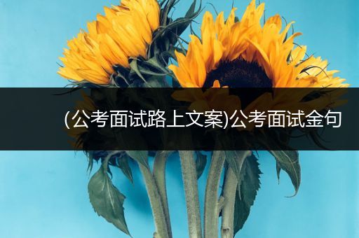 （公考面试路上文案)公考面试金句