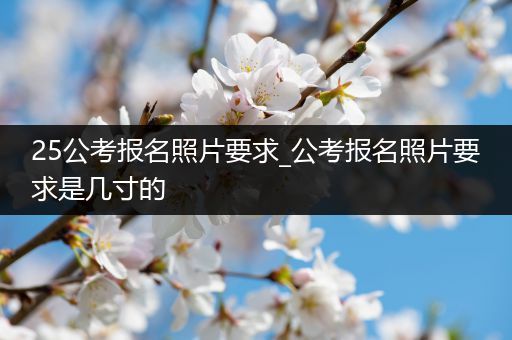 25公考报名照片要求_公考报名照片要求是几寸的