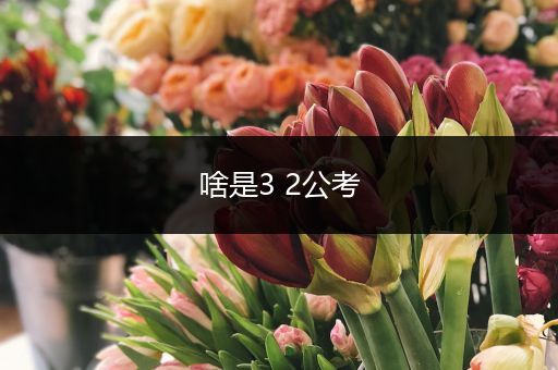啥是3 2公考