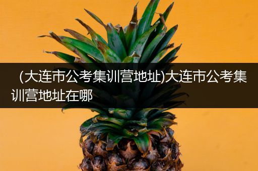 （大连市公考集训营地址)大连市公考集训营地址在哪