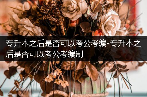 专升本之后是否可以考公考编-专升本之后是否可以考公考编制