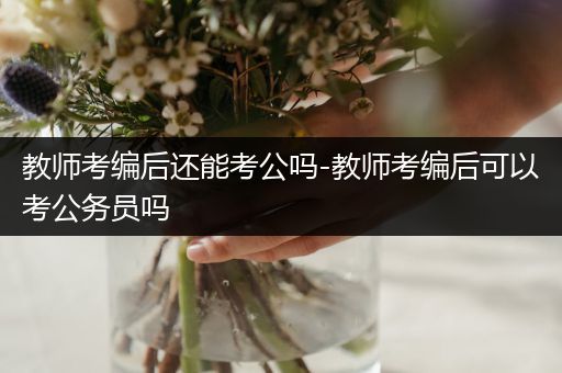 教师考编后还能考公吗-教师考编后可以考公务员吗