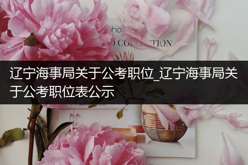 辽宁海事局关于公考职位_辽宁海事局关于公考职位表公示