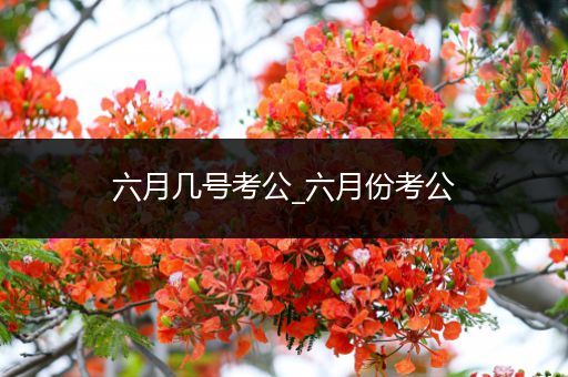 六月几号考公_六月份考公