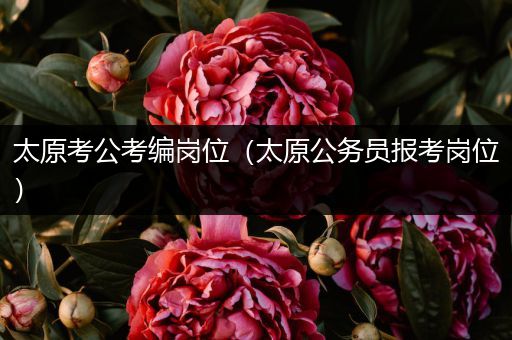太原考公考编岗位（太原公务员报考岗位）