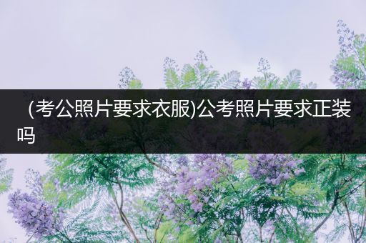 （考公照片要求衣服)公考照片要求正装吗