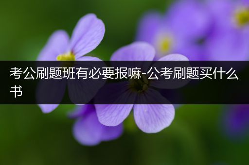 考公刷题班有必要报嘛-公考刷题买什么书