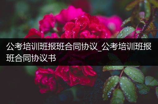 公考培训班报班合同协议_公考培训班报班合同协议书