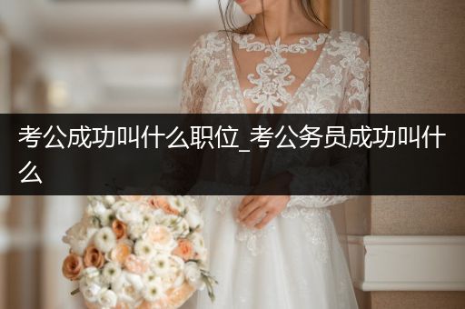 考公成功叫什么职位_考公务员成功叫什么