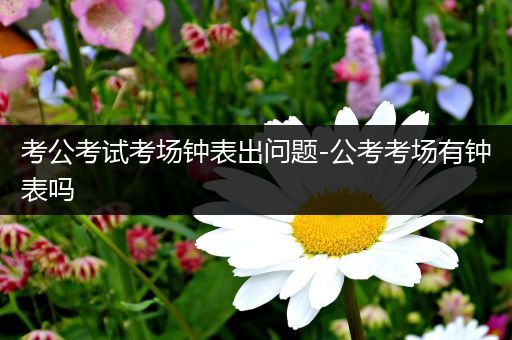 考公考试考场钟表出问题-公考考场有钟表吗