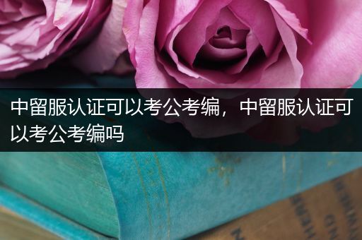 中留服认证可以考公考编，中留服认证可以考公考编吗