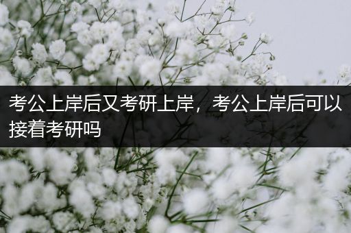 考公上岸后又考研上岸，考公上岸后可以接着考研吗