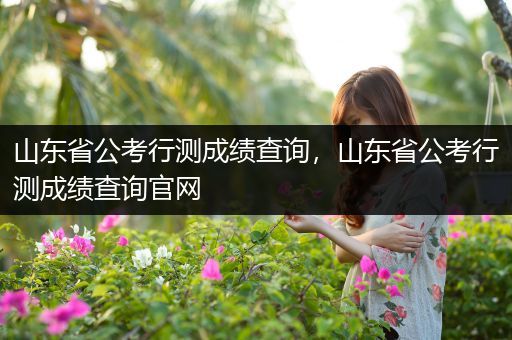 山东省公考行测成绩查询，山东省公考行测成绩查询官网