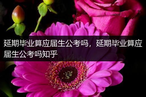 延期毕业算应届生公考吗，延期毕业算应届生公考吗知乎