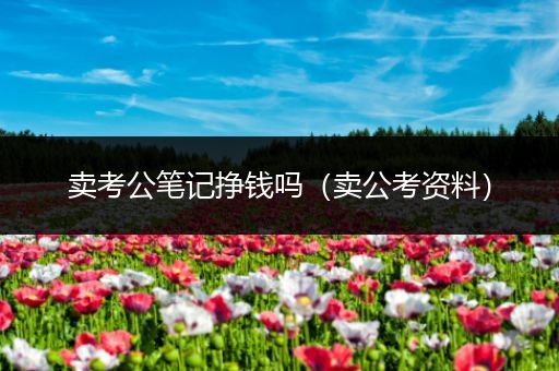 卖考公笔记挣钱吗（卖公考资料）