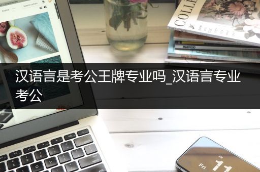 汉语言是考公王牌专业吗_汉语言专业 考公