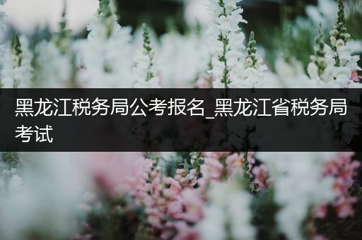 黑龙江税务局公考报名_黑龙江省税务局考试