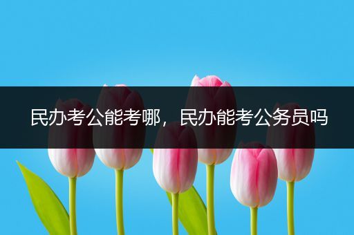 民办考公能考哪，民办能考公务员吗