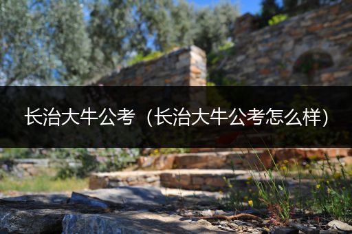 长治大牛公考（长治大牛公考怎么样）