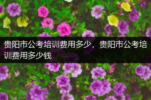 贵阳市公考培训费用多少，贵阳市公考培训费用多少钱