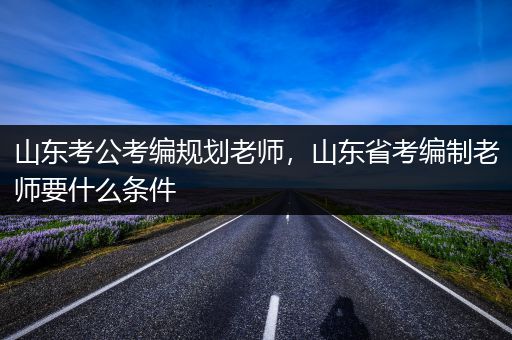 山东考公考编规划老师，山东省考编制老师要什么条件