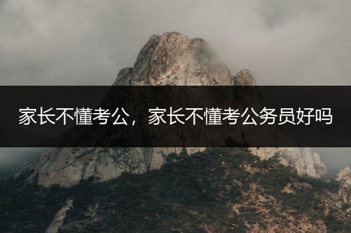 家长不懂考公，家长不懂考公务员好吗