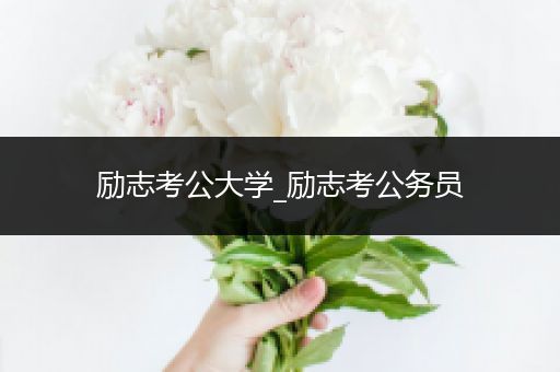 励志考公大学_励志考公务员