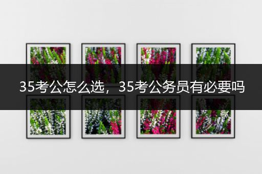 35考公怎么选，35考公务员有必要吗