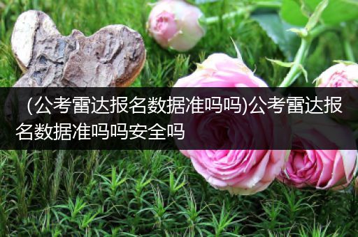 （公考雷达报名数据准吗吗)公考雷达报名数据准吗吗安全吗