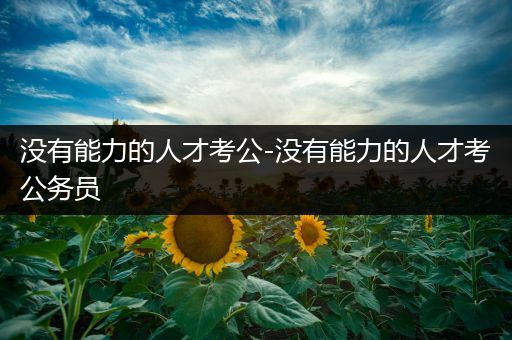 没有能力的人才考公-没有能力的人才考公务员